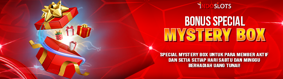 Bonus Special Mystery Box